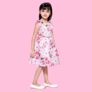 Girls Fancy Dresses