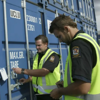 Servicios Profesionales